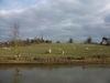 braunston-2