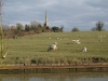 braunston