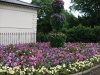 colourful-display