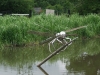 dragonfly-sculpture-by-gideon-petersen-on-the-hatton-flight-2