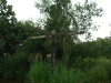 kingswood-sign-post