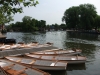 rowing-boats-on-the-avon