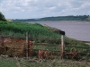 the-purton-hulks