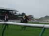 warwick-racecourse-10