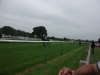 warwick-racecourse-11