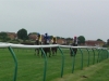 warwick-racecourse-13