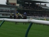 warwick-racecourse-8