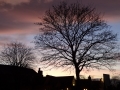 Evening Sky at Willington (5)