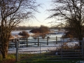 Frozen Scene (1)