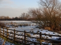 Frozen Scene (2)