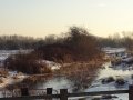 Frozen Scene (3)