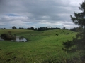 View from the aqueduct at Audlem (6)