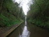 high-bridge-woodseaves-cutting-2