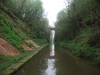 high-bridge-woodseaves-cutting-3