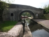 turning-on-to-the-shroppie-2