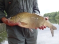 5lb 2oz Bream Hazelford Ferry (1)