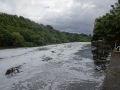 Foaming weir at Stoke Bardolph (2)