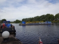Large BW Barge (3)