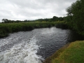 River Soar at Sileby (3)