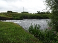 River Soar at Sileby (4)