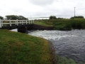 River Soar at Sileby (5)