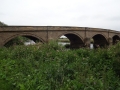 River Trent at Swarkestone (3)