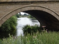 River Trent at Swarkestone (5)
