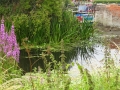 Round Sileby Mill (2)