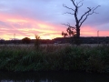 Sunset at Branston again (1)
