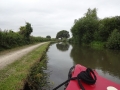Tree across the canal at Swarkestone (1)