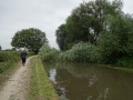 Tree across the canal at Swarkestone (2)
