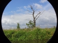 View from porthole Branston