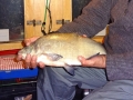 Roach/Bream Hybrid T and M.JPG