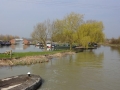 DSC01081.JPG