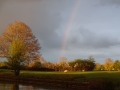 DSC01364.JPG