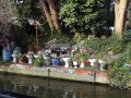 Garden in Nottingham.JPG