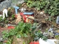 Items in garden in Nottingham (2).JPG