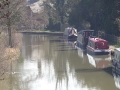 Moored at Braunston (4).JPG