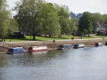 Moored at Trent Bridge (1).JPG