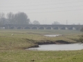 River Trent  (1).JPG