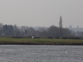 River Trent (1).JPG
