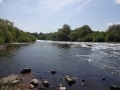 River Trent at Beeston (1).JPG