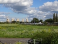 Sawley Scenery (1).JPG