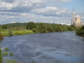 Sawley Scenery (10).JPG