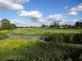 Sawley Scenery (11).JPG