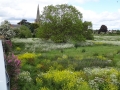 Sawley Scenery (3).JPG