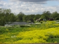 Sawley Scenery (4).JPG
