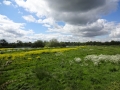 Sawley Scenery (5).JPG