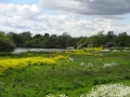 Sawley Scenery (6).JPG