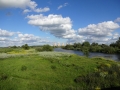 Sawley Scenery (7).JPG